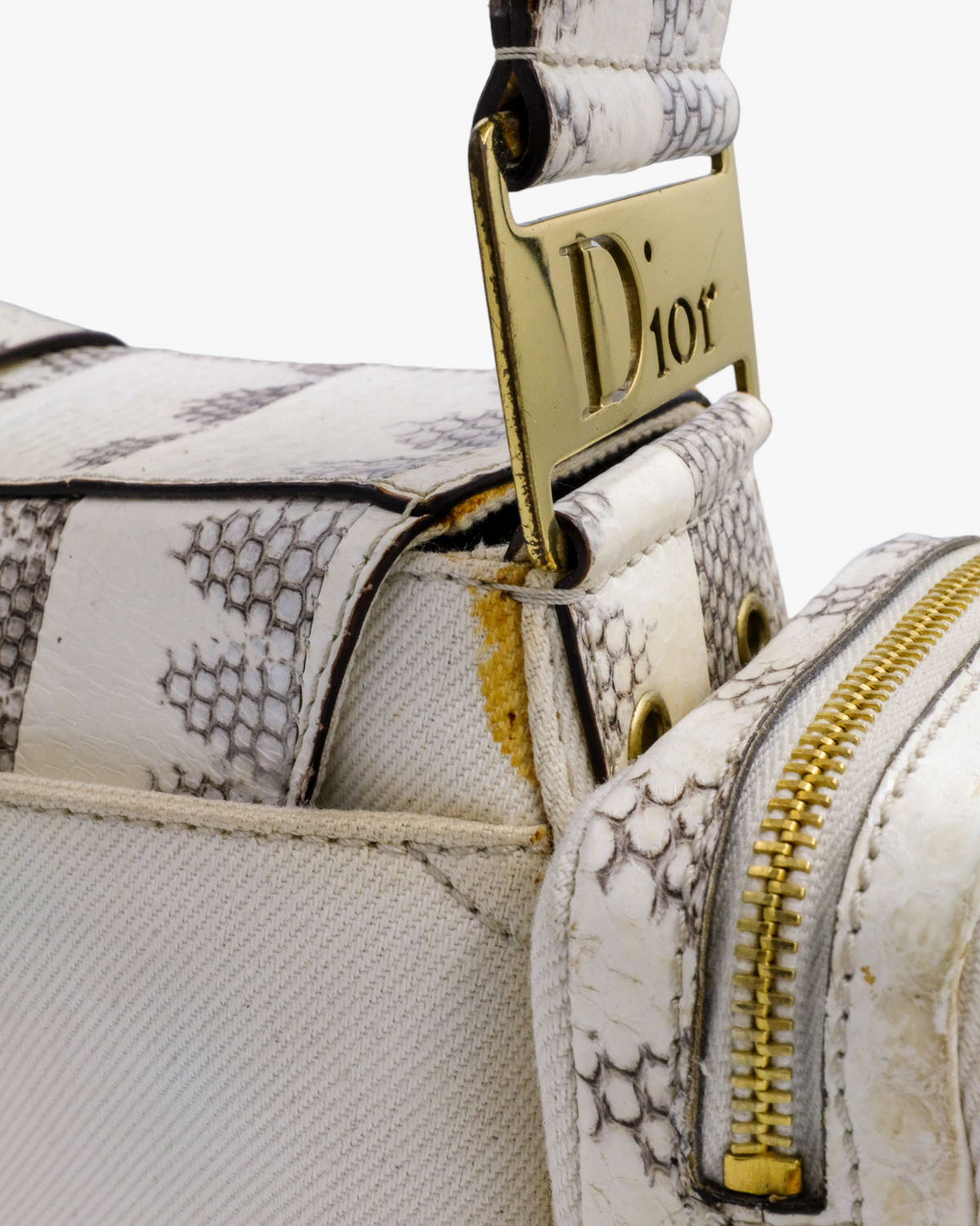 Dior Columbus Python Leather & Canvas Dior