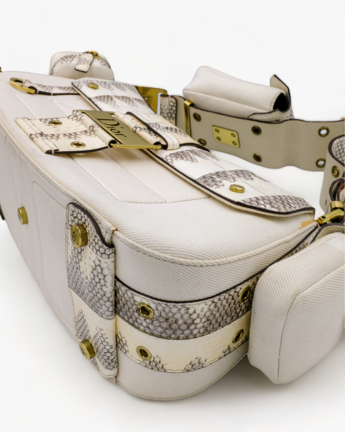 Dior Columbus Python Leather & Canvas Dior