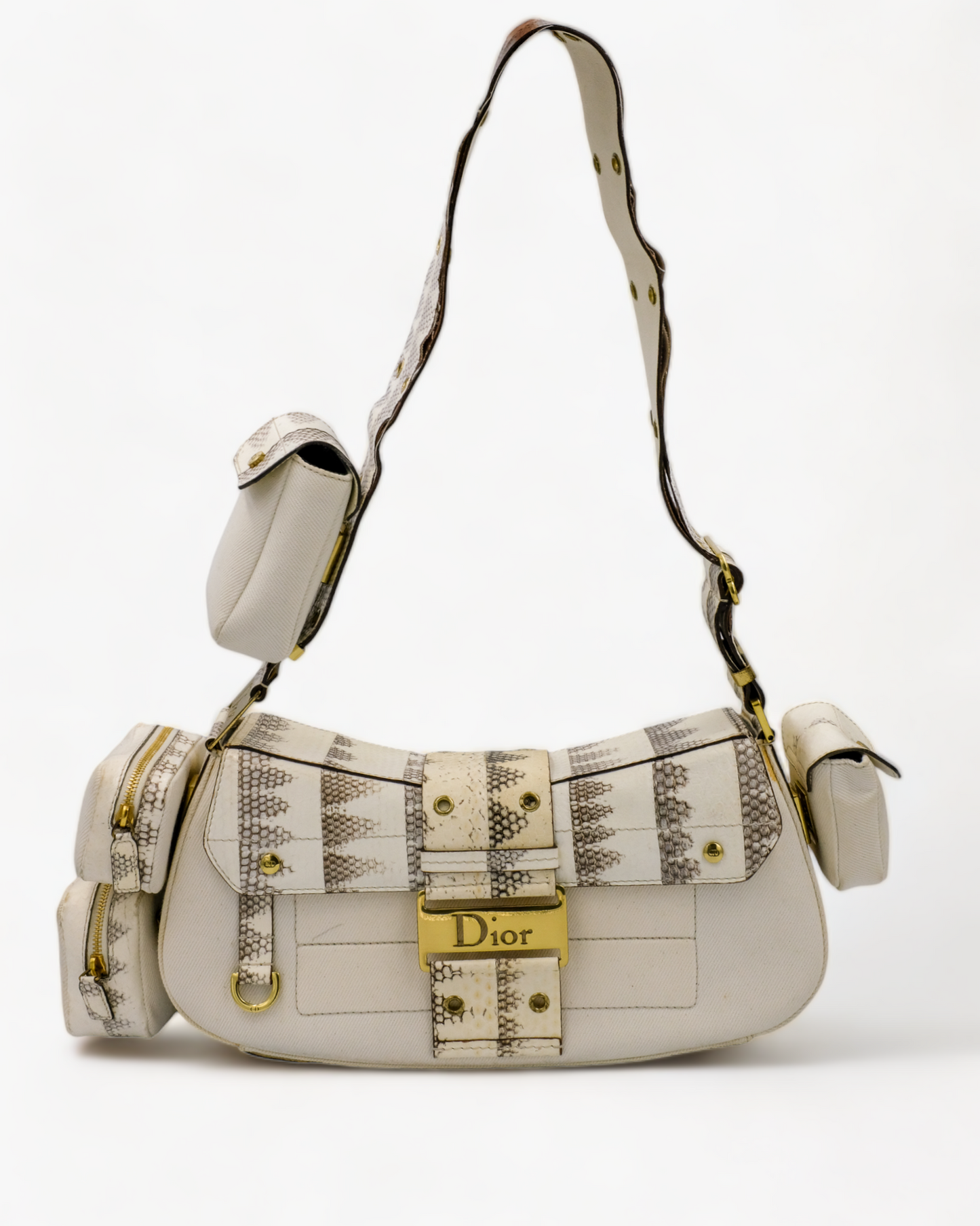 Cuir et toile python Dior Columbus