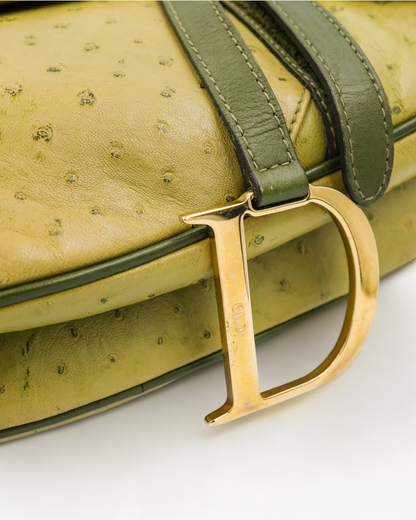 Dior Saddle Bag Green Ostrich Leather